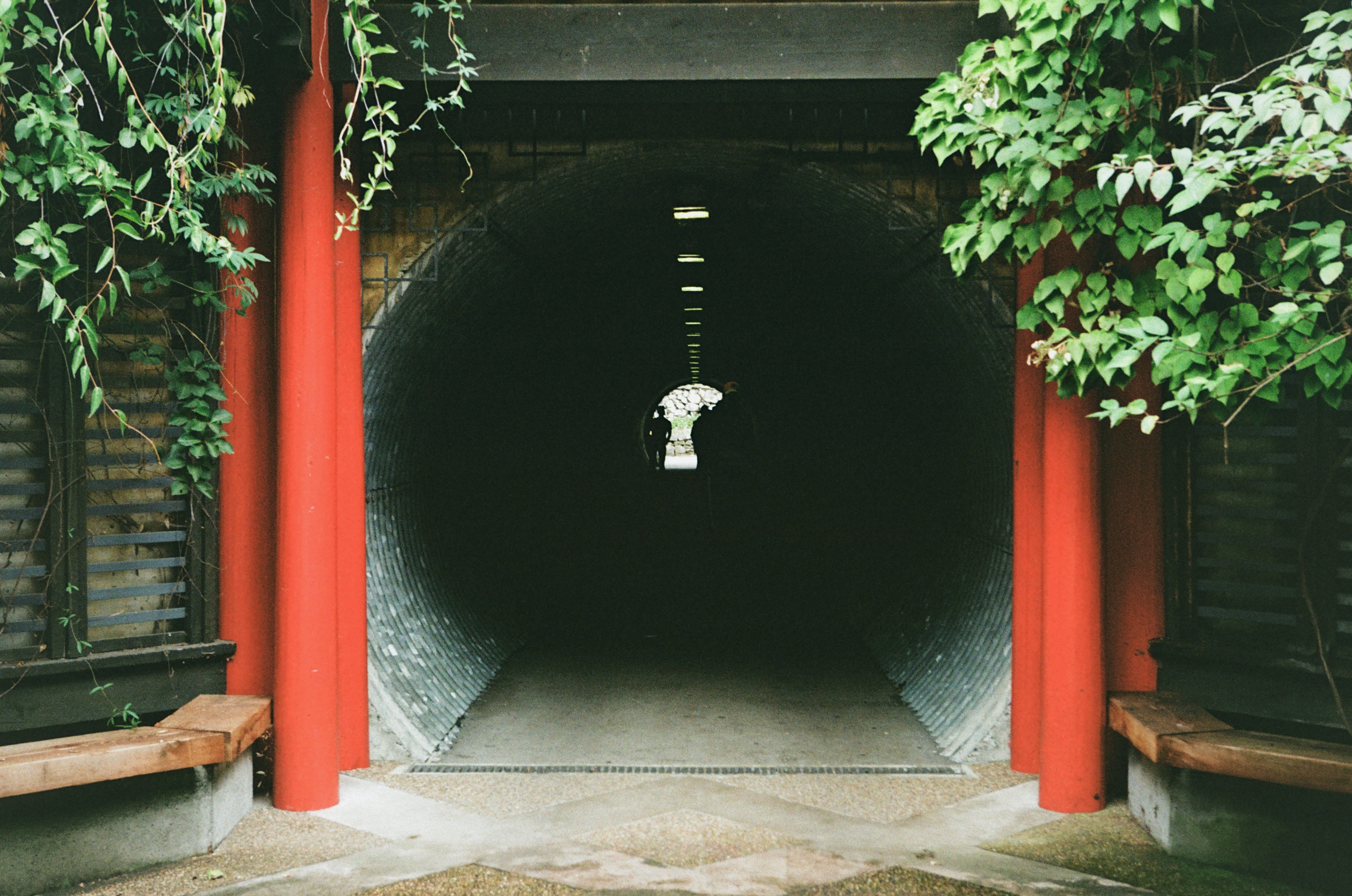 Circles, UBC Botanical Garden. Vancouver, B.C., Canada. September 2021. (Photo by Aaron Hemens)