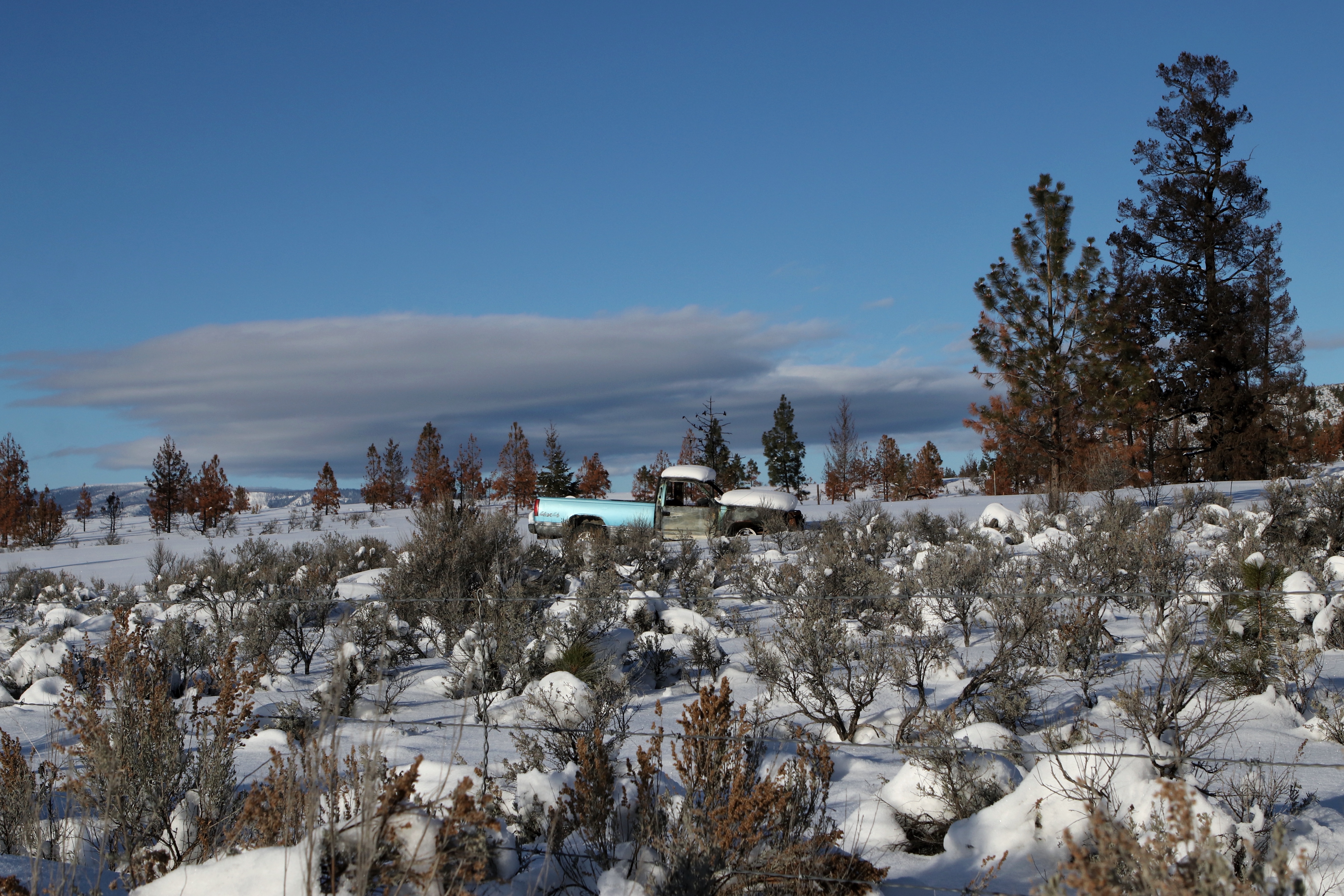 An abandoned car sits near Barnes Lake in Ashcroft, B.C., on Jan. 10, 2022, part of area that had previously been impacted by the 2021 Tremont Creek wildfire, which burned nearly 63,000 hectares.