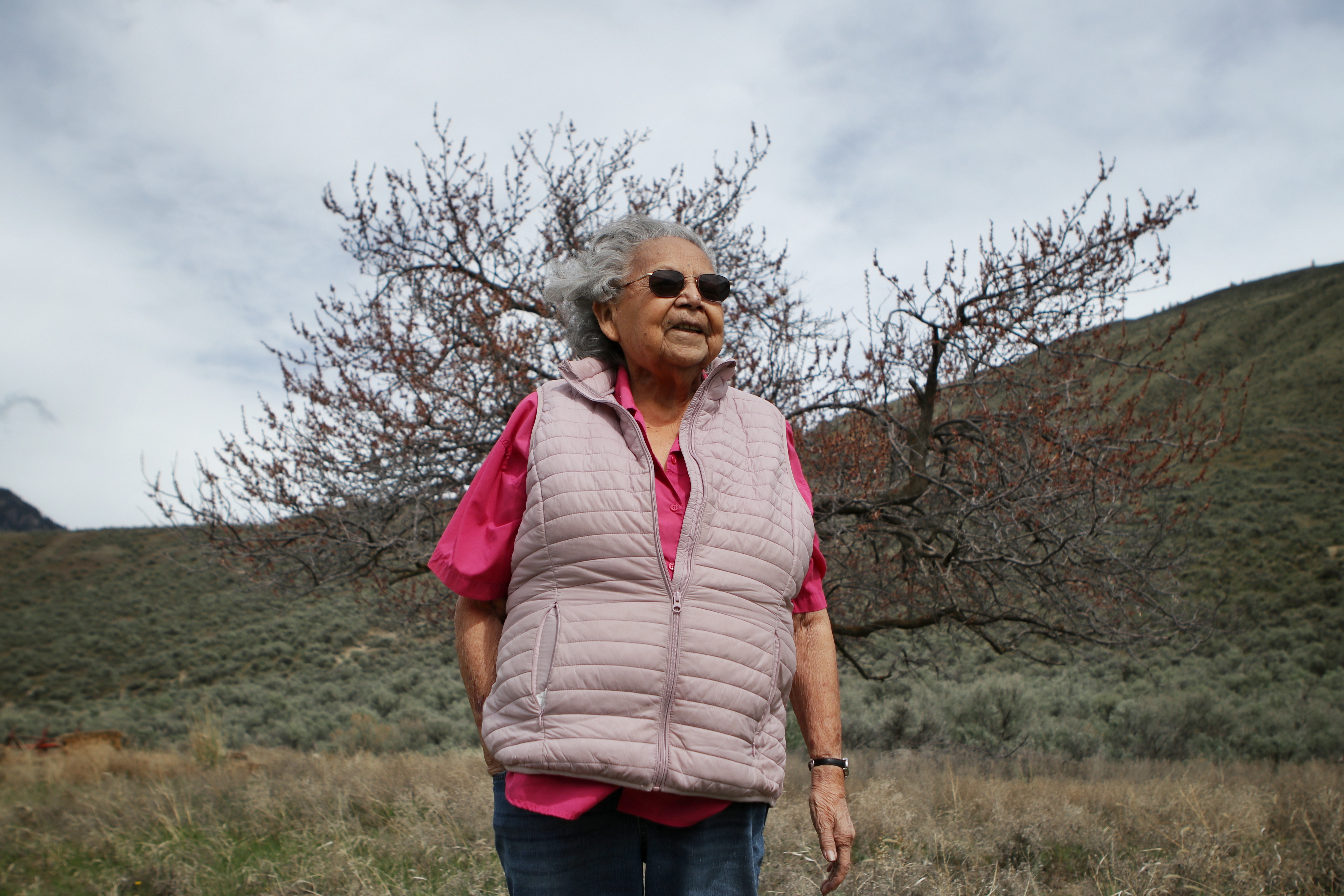 Theresa Ann Terbasket, a smelqmix Elder and a nsyilxcən language holder, stands on the grounds of the old Terbasket Ranch near Blind Creek in Cawston, B.C., on April 20, 2022. Branching out behind her is an apricot tree from her Grandpa Paul’s old orchard. (Photo by Aaron Hemens for IndigiNews)