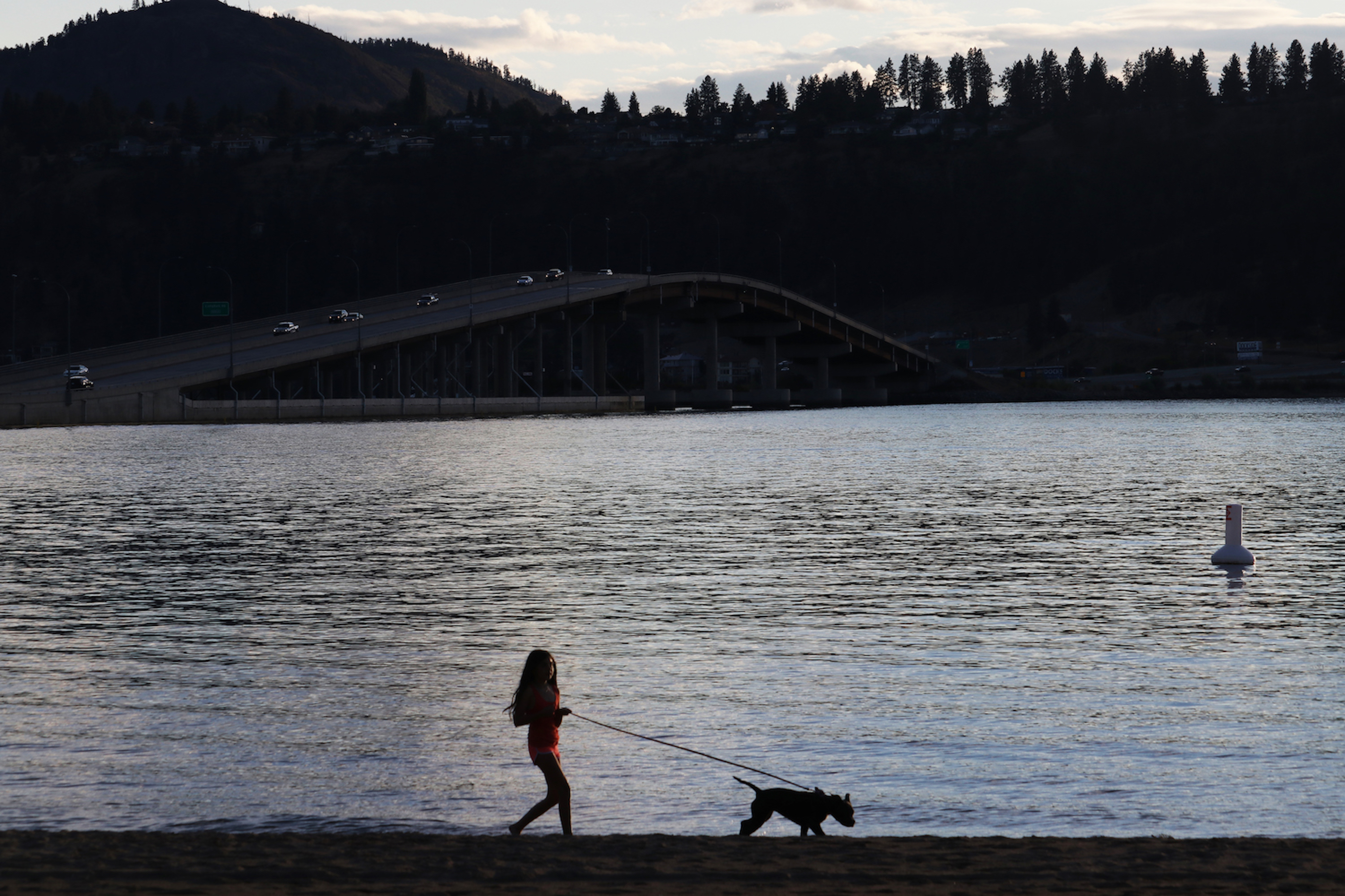 A child walks with their dog along the waterfront of Okanagan Lake in Kelowna, B.C., on Aug. 27, 2021. (Photo by Aaron Hemens for Kelowna Capital News)